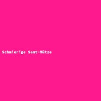 Schmierige Samt-M&uuml;tze