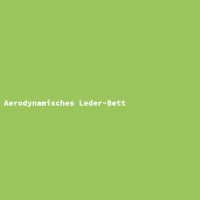 Aerodynamisches Leder-Bett