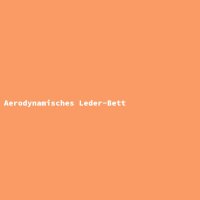 Aerodynamisches Leder-Bett