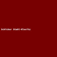 Schicker Stahl-Klositz