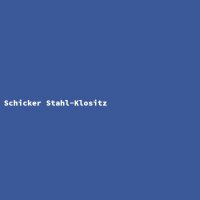 Schicker Stahl-Klositz